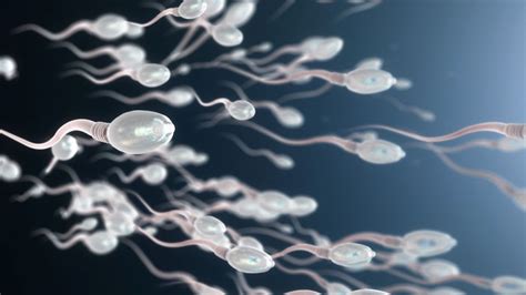 подвижност на сперматозоидите с простатит